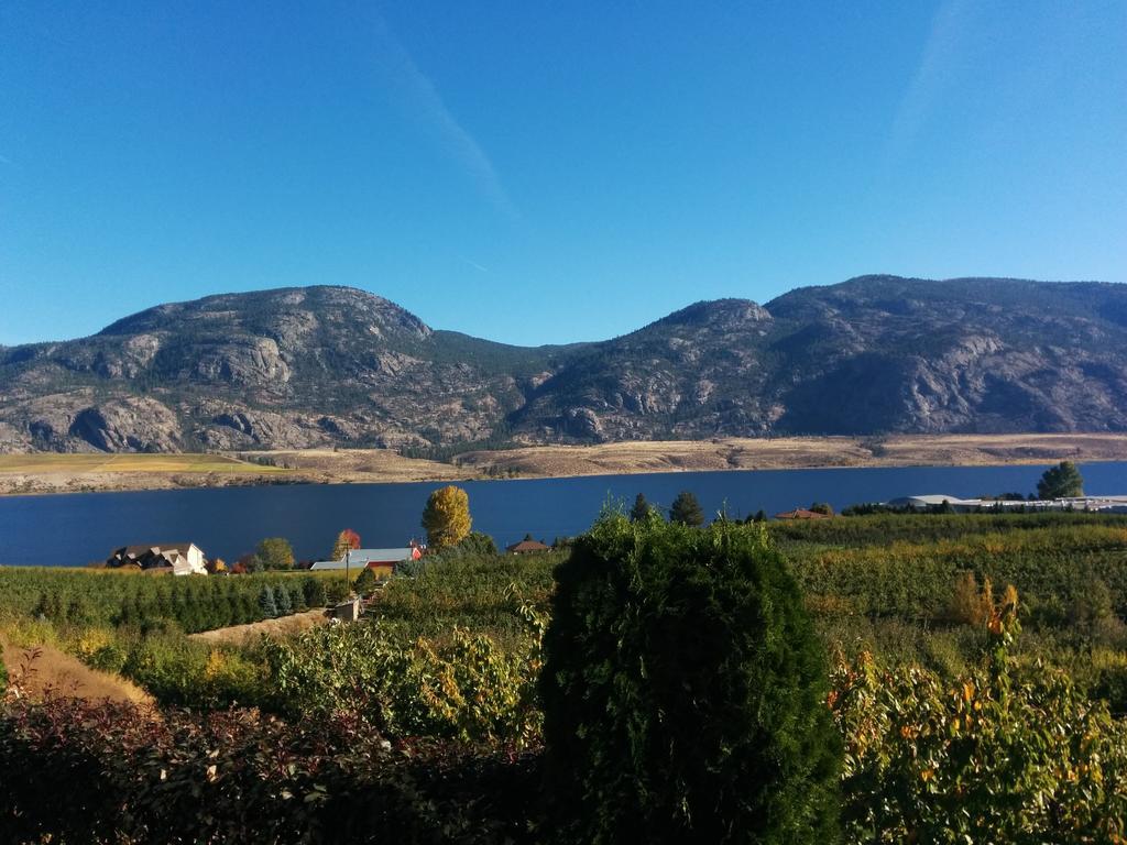 Ciliegia Villa Osoyoos Szoba fotó